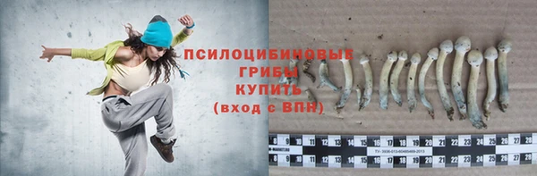 дживик Алзамай