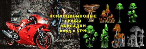 сатива Абаза
