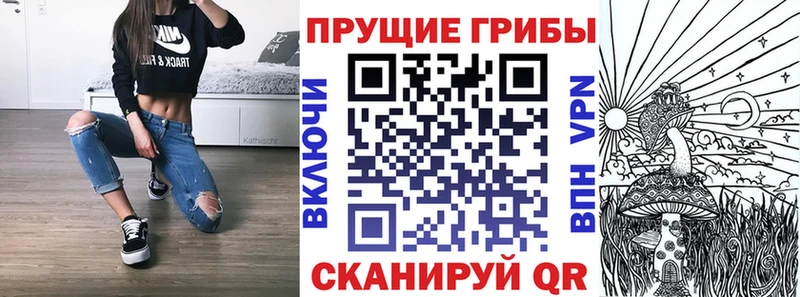 Псилоцибиновые грибы мицелий  Островной 